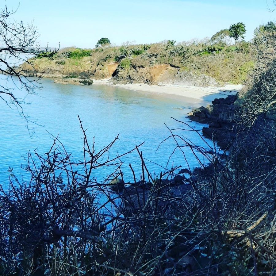 Le 3 Appartement Vue Mer Avec Jardin 100M De La Plage Et De La Thalasso Concarneau Esterno foto