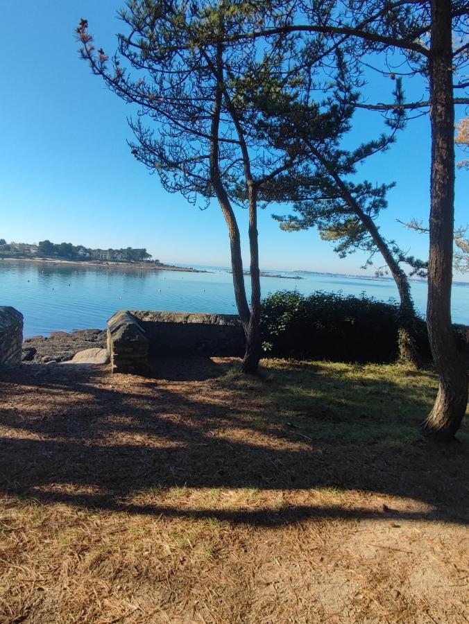 Le 3 Appartement Vue Mer Avec Jardin 100M De La Plage Et De La Thalasso Concarneau Esterno foto