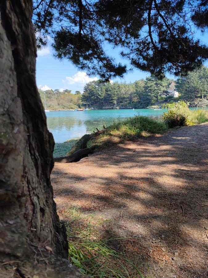 Le 3 Appartement Vue Mer Avec Jardin 100M De La Plage Et De La Thalasso Concarneau Esterno foto